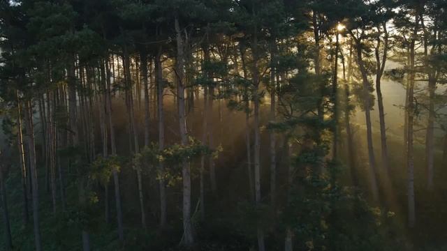 NOORLIGHT! - SOLARIS альбом атмосферного фонка смотреть онлайн