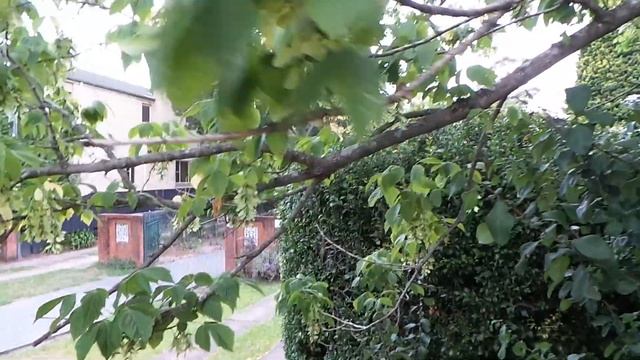 Александр Удалов, Клен, Австралия, 2014 смотреть онлайн