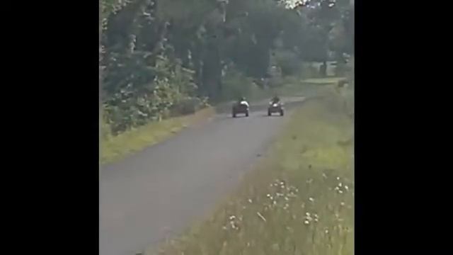 Brute Force 300 Vs Honda Trx 250 смотреть онлайн