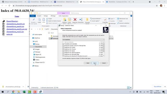 Automação Web com Selenium e Excel VBA 2021 (Webscraping definitivo) смотреть онлайн