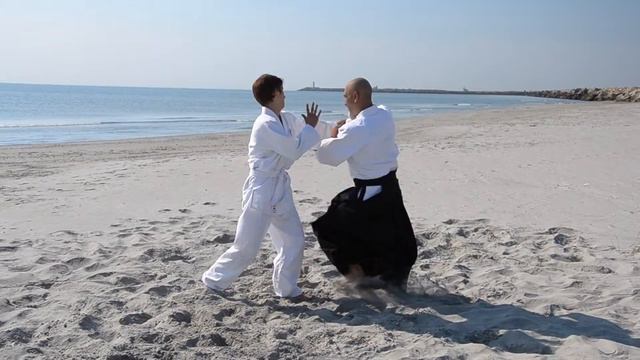 Aikido Aikikai Navodari Gabriel Vasu смотреть онлайн