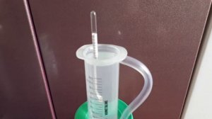 Попугай своими руками