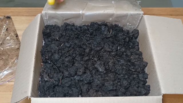 Грибы в домашних условиях /выращиваем шампиньоны смотреть онлайн