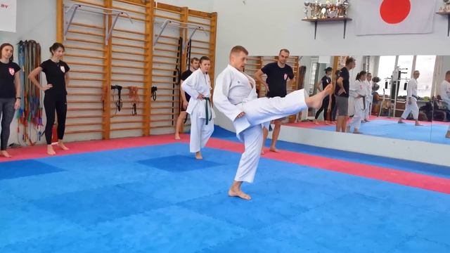 Mae Geri Explanation Of Kick Trajectory Formation. Мае гери Объяснение формирования траектории удар