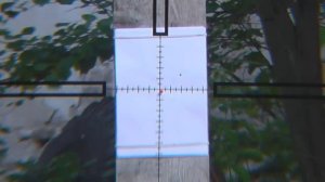 Пристрелка оружия с оптическим прицелом одним выстрелом