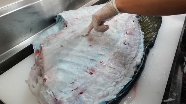 60kg超えのナポレオンフィッシュを解体してみると・・・ смотреть онлайн