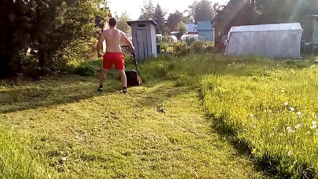 Газона косилка, за 2500 т.р. Как правельна косить газон. смотреть онлайн