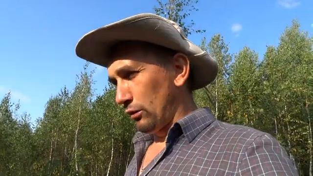 ПОЛЬЗА МЁДА,мой любимый ВЕРЕСКОВЫЙ МЁД. смотреть онлайн