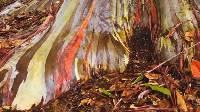 Этот редчайший кристалл ведет себя совсем не так, как должен