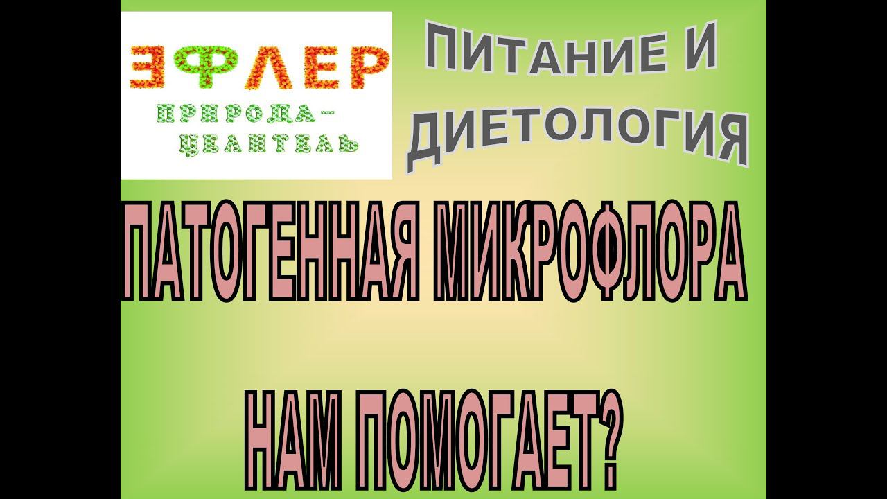 П3 - ПАТОГЕННАЯ МИКРОФЛОРА НАМ ПОМОГАЕТ? смотреть онлайн