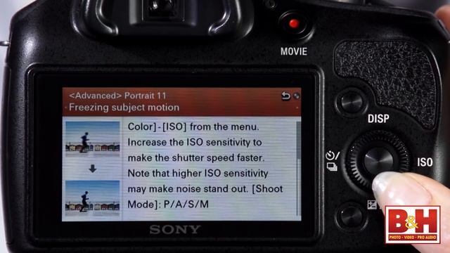 Sony Alpha A3000 смотреть онлайн