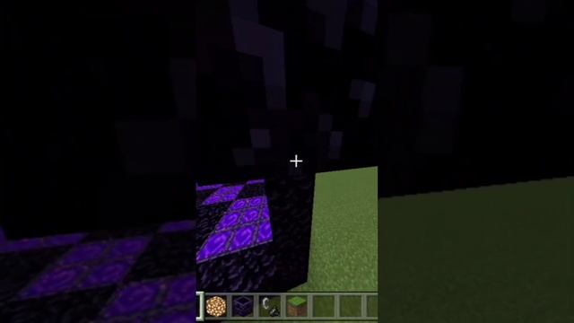 Minecraft New Portal 1.20 Hack #shorts смотреть онлайн