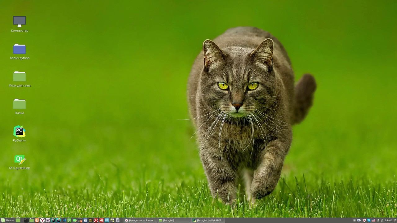 БД в Python смотреть онлайн