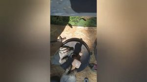 Замена цапфы, подшипника задней оси! #ступица #passat #b3