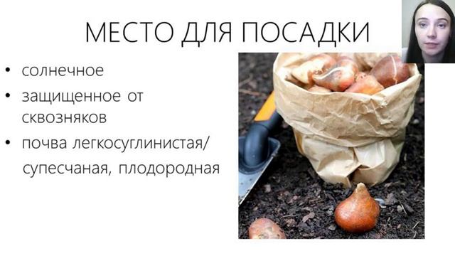 Вебинар "Тюльпаны" смотреть онлайн