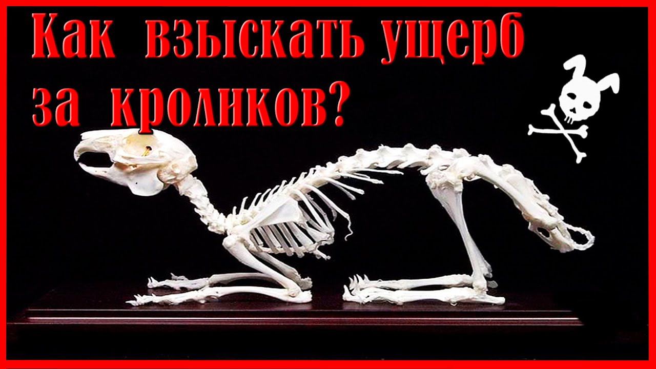 ОТРАВЛЕНИЕ КОМБИКОРМОМ / Как взыскать ущерб? смотреть онлайн