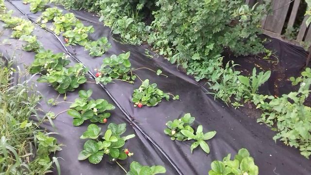 Мои новинки.