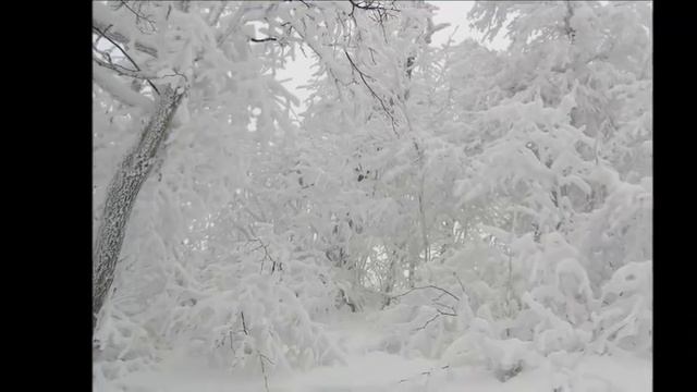 Красивая музыка зимы  
