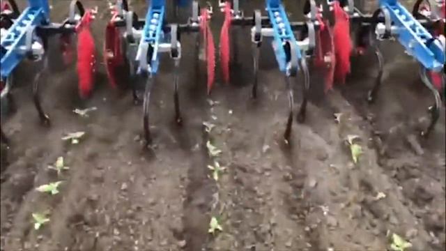 Работа пропашного культиватора SKM Hatzenbichler