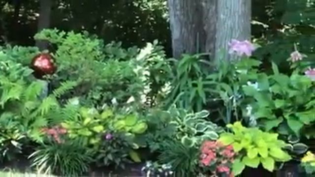 Glower bed of white lilies and daisies and a lime light hydrangea | Gardening Ideas & Tips смотреть онлайн