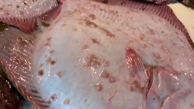 Черви и глисты в Дунайской селедке. Апрель2021 года.