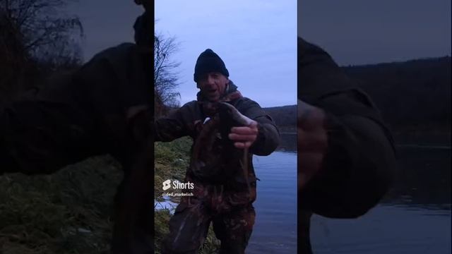 НАЛИМ НА ДОНКУ. смотреть онлайн