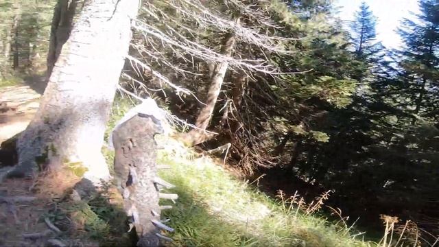 #3 Switzerland From Camp to Harder Kulm mountain. Maggiolina Roof Top Tent. Upgraded Subtitles. смотреть онлайн