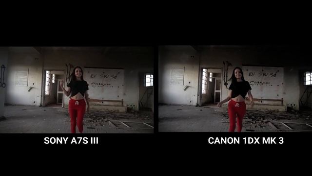 SONY A7S III VS CANON 1dx MARK III CAMERA COMPARISON смотреть онлайн