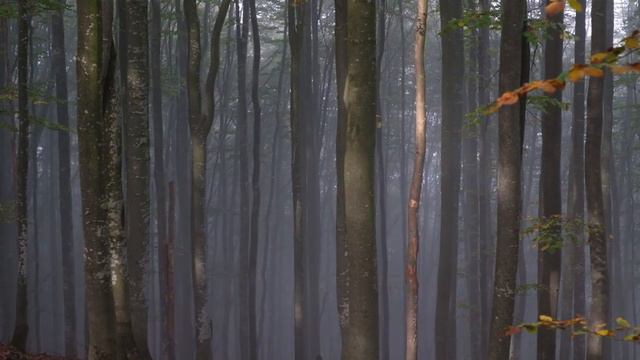 Изменчивая погода в горах смотреть онлайн