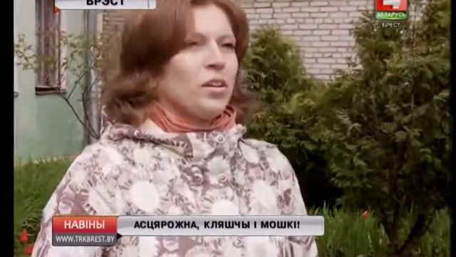 АСЦЯРОЖНА, КЛЯШЧЫ І МОШКІ! (Відэа) смотреть онлайн