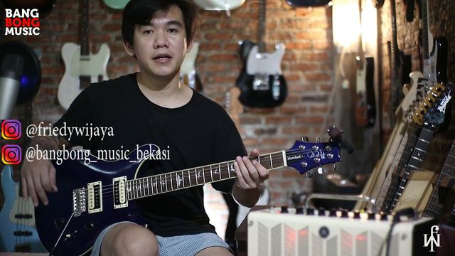 REVIEW PRS SE STANDARD 2020 ( BANGBONG MUSIC BEKASI )