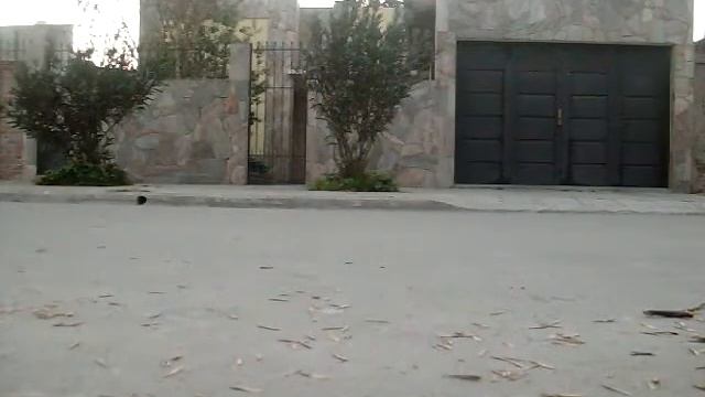 New Trick- Santiago Olivera Fs 360