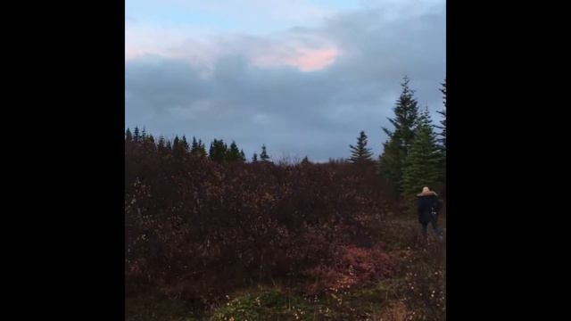 Путешествие к summerhouse в Исландии. смотреть онлайн