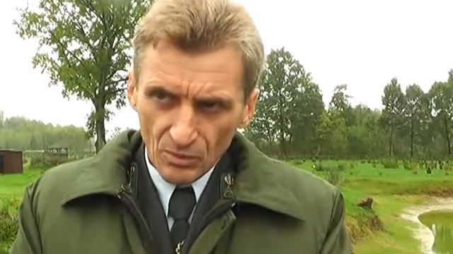 В Житновичском дендропарке произрастает 50 видов деревьев и кустарников смотреть онлайн