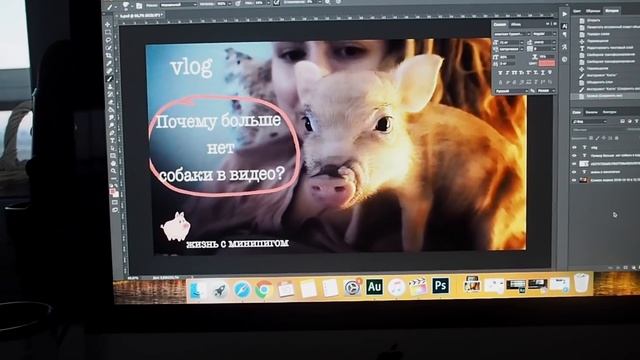 со мной такое впервые! - влог - жизнь с минипигом смотреть онлайн