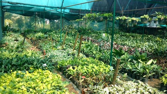 Nursery _view2 смотреть онлайн