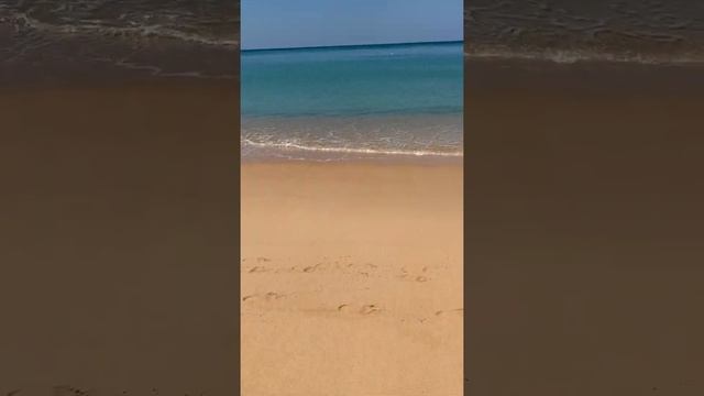 Тайланд без туристов. Пустой пляж Май Кхао на севере Пхукета. Mai Khao beach Phuket. #Shorts смотреть онлайн