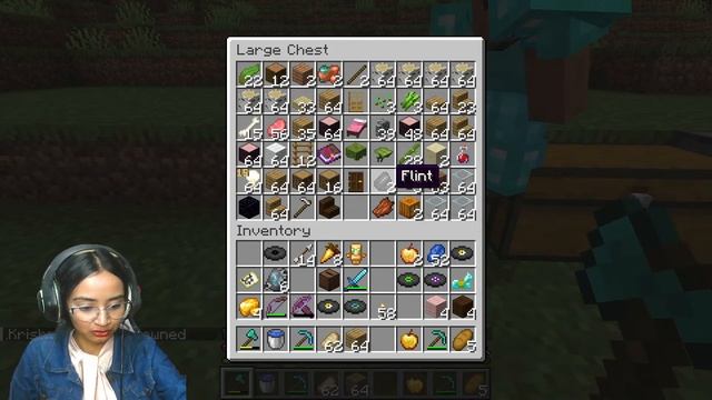 Girl Gamer | Minecraft For Both PE/Bedrock+Java | Night Chill Stream смотреть онлайн