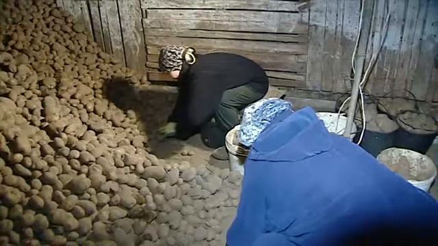 Калининградский аграрий, 10 смотреть онлайн