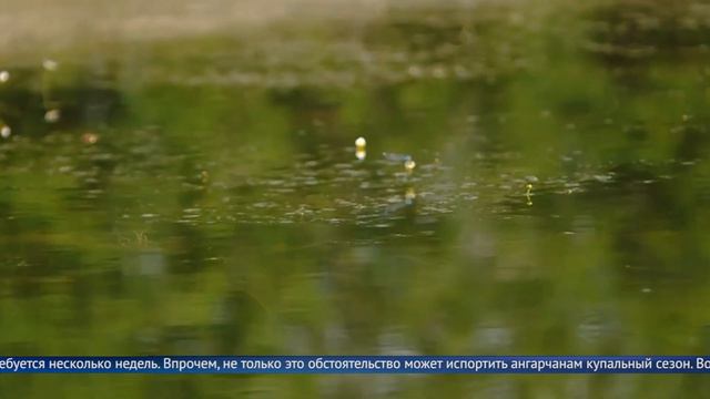 Еловский пруд обмелел смотреть онлайн