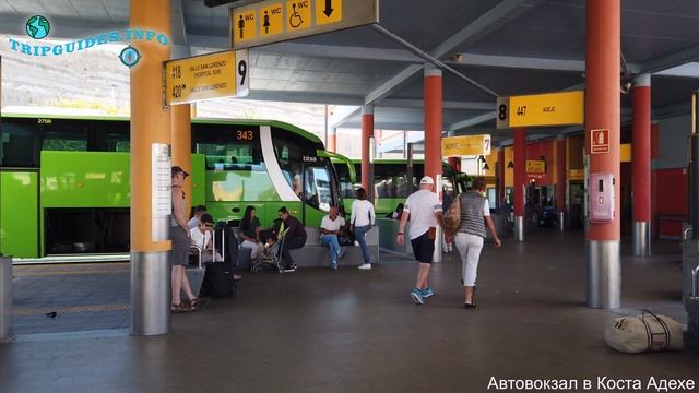 Как добраться из аэропорта Тенерифе-Южный в Коста Адехе смотреть онлайн