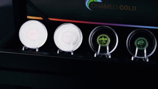 Chameo Gold - Flamingo Set (1043922) смотреть онлайн