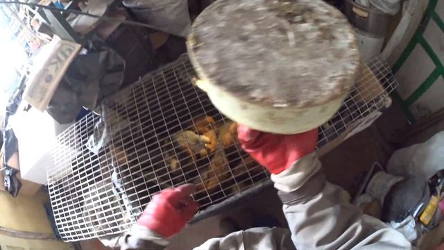 2 Перекладка яиц "Карачуны" и много рассказа смотреть онлайн