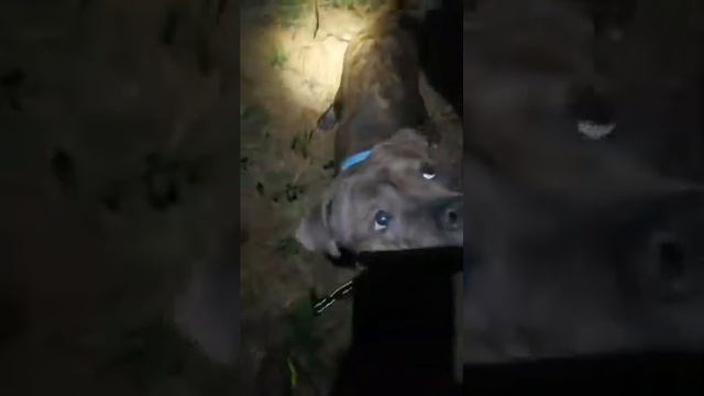 HHPP CHANNEL 1 - "SAMSON 01" 10/5/19 смотреть онлайн