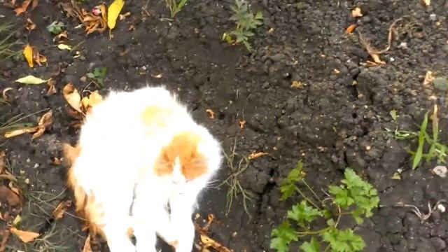 Как сделать посочниу для детей продолжение