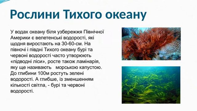 Природа Тихого океану смотреть онлайн
