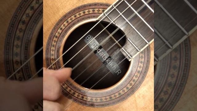 Roman Blagodatskikh Luthier