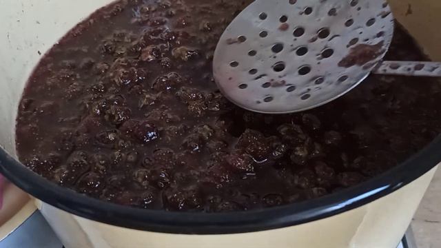 Наука о Здоровье и Жизни