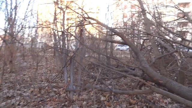 город уфа 14 апреля 2023 после сильного ураганного ветра упало дерево. смотреть онлайн