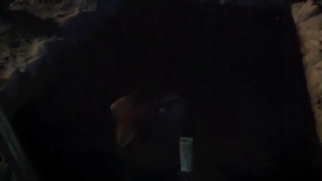 Крещенские морозы 19 01 14 смотреть онлайн